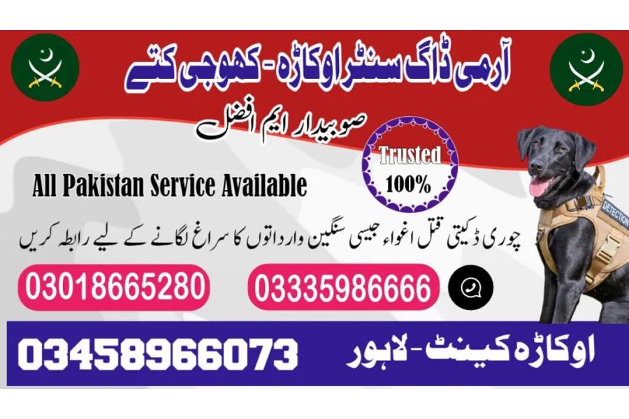 Army dog center Okara 03458966073 (okara khoji dog center okara)