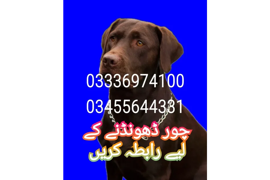Army dog center mirpur district 03455644331_03017735103