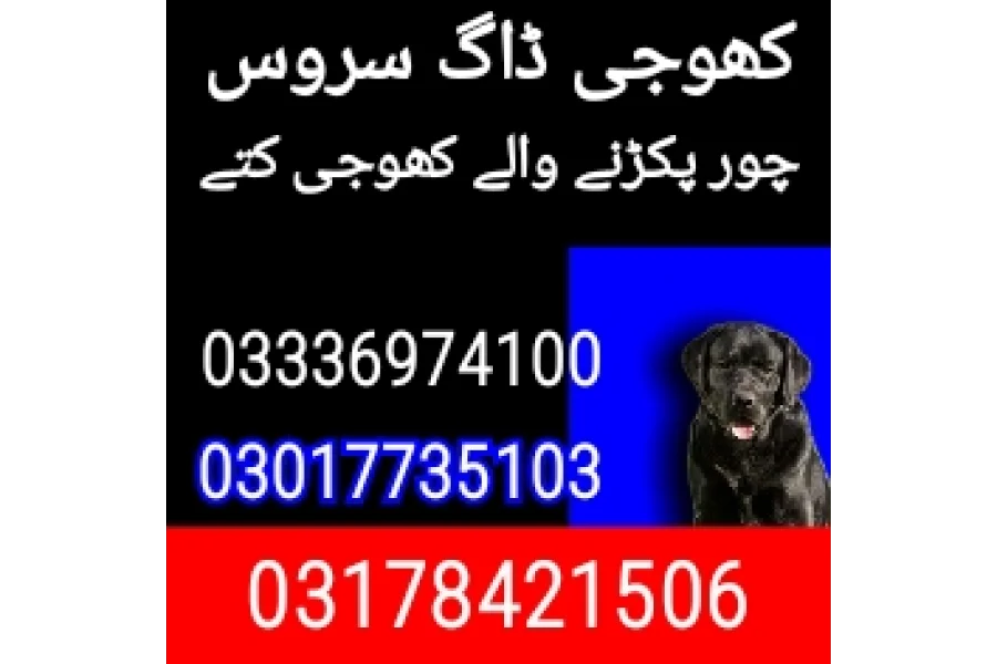 Army dog center kalabagh 03017735103