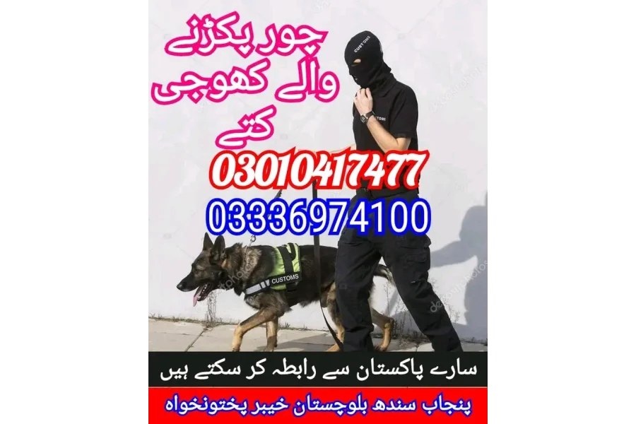 Army dog center kamra cantt 03336974100