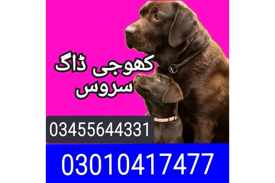 آرمی ڈاگ سنٹر چارسدہ 03455644331