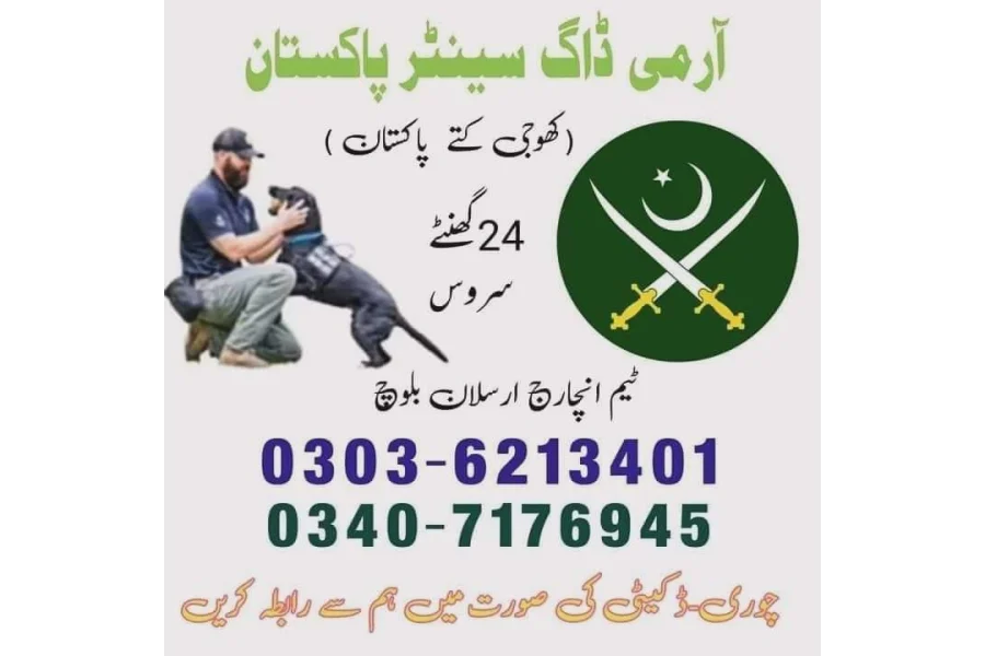 کھوجی کتا نارووال 03407176945/ Khoji kutta Narowal