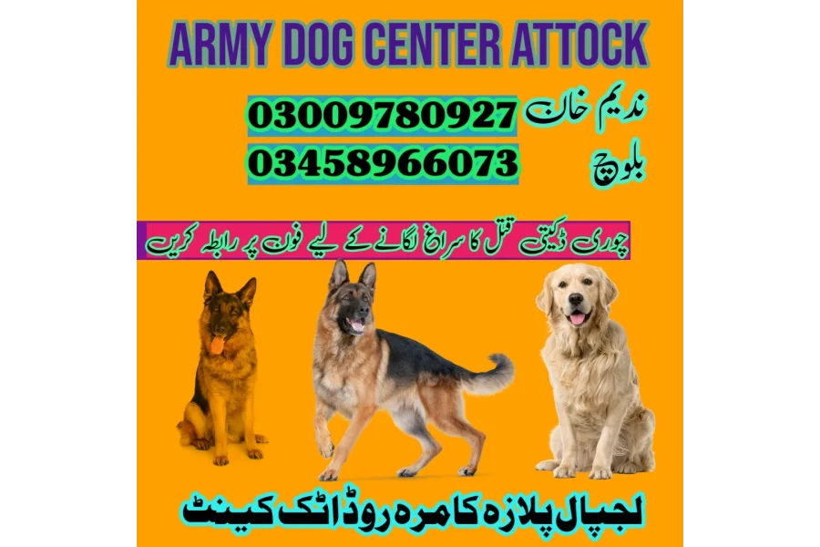 Army Dog Center Attock 03009780927(sniffing dogs)