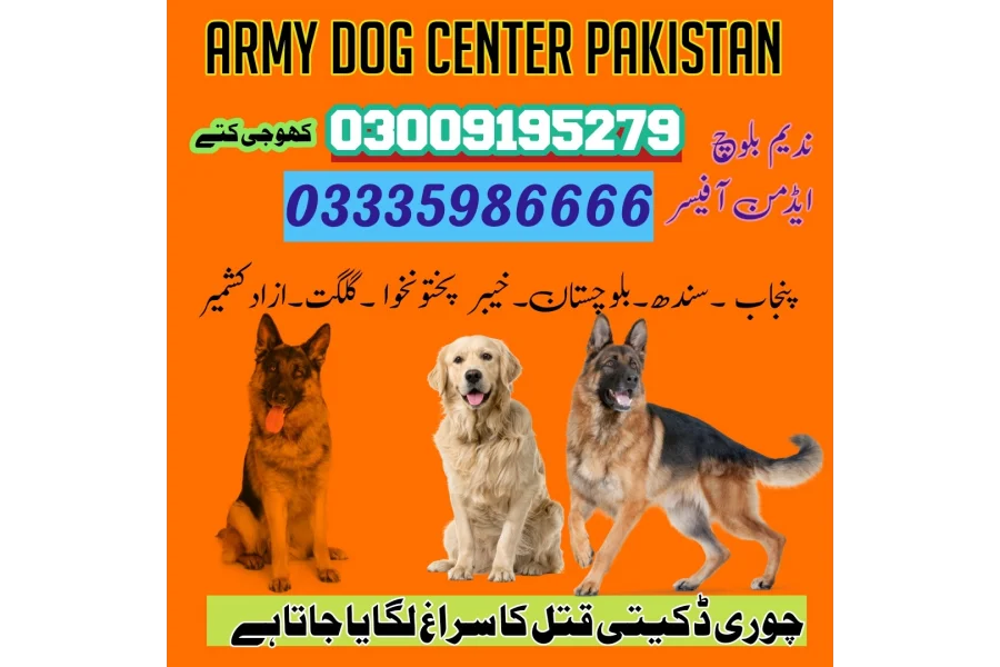 Army Dog Center Taxila 03458966073(khoji kuttay