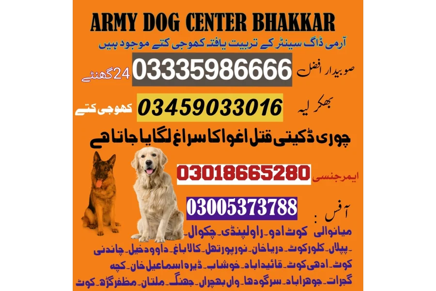 آرمی ڈاگ سنٹر دریا خان 03458966073 (خوجی ڈاگ سنٹر)
