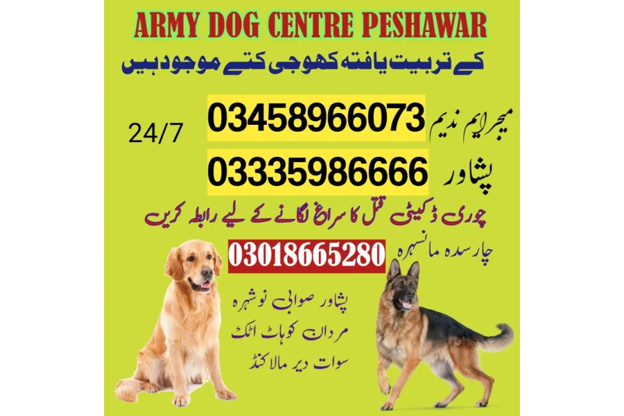 آرمی ڈاگ سنٹر پشاور 03009780927 (کتے کی پناہ گاہ)