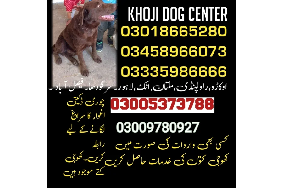 آرمی ڈاگ سنٹر چنیوٹ 03009195279 (کھوجی سنٹر)