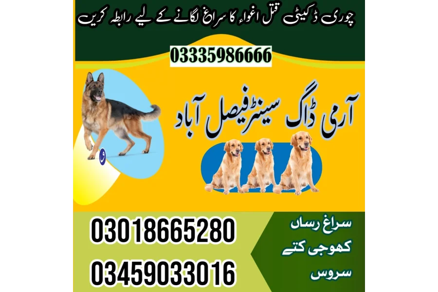 آرمی ڈاگ سنٹر فیصل آباد 03458966073 (سونگنے والے کتوں)