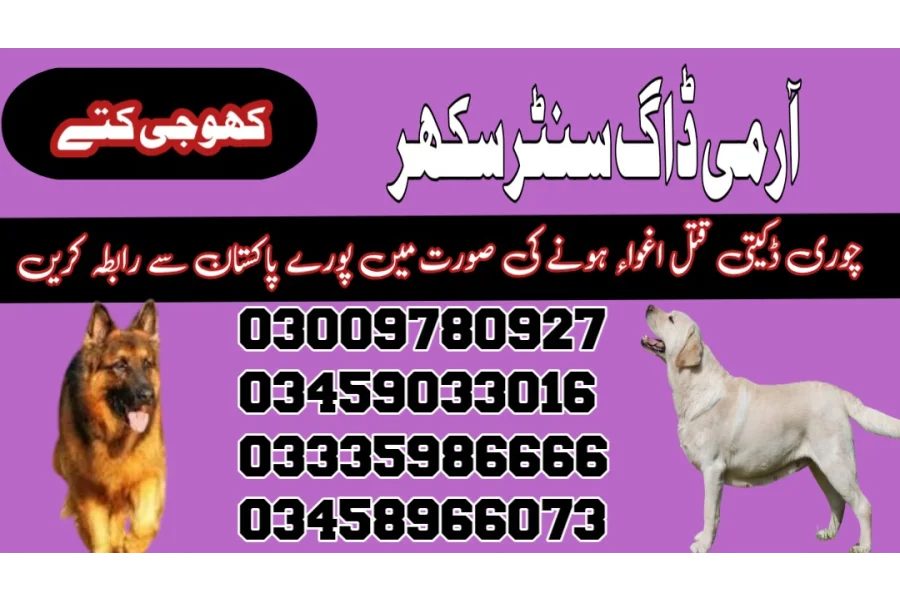 Army Dog Center Sukkur 03459033016 (کھوجی کتے)