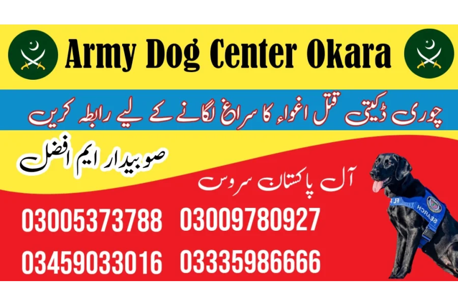 Army dog center sahwial 03458966073 (کھوجی کتے)