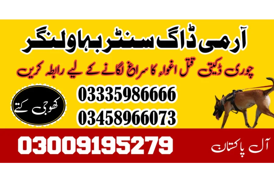 Army Dog Center Bahawalnagar 03458966073 (کھوجی کتے)