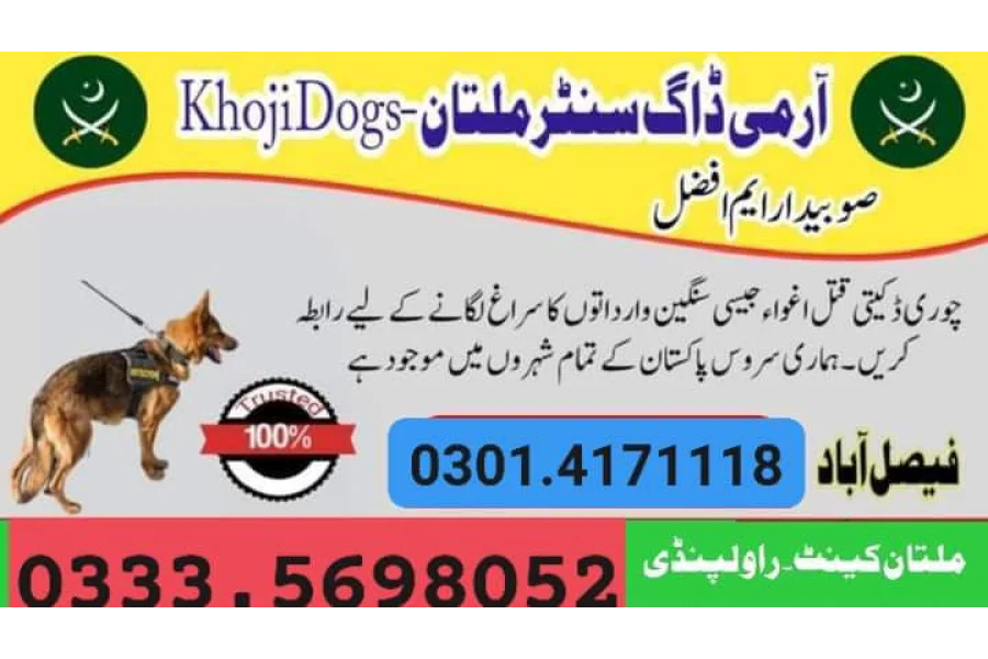 Army Dog Center Jhang 03454760111