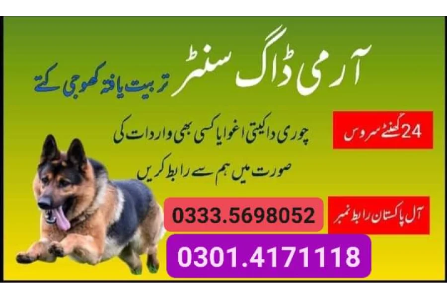 آرمی ڈاگ سنٹر فیصل آباد 03335698052