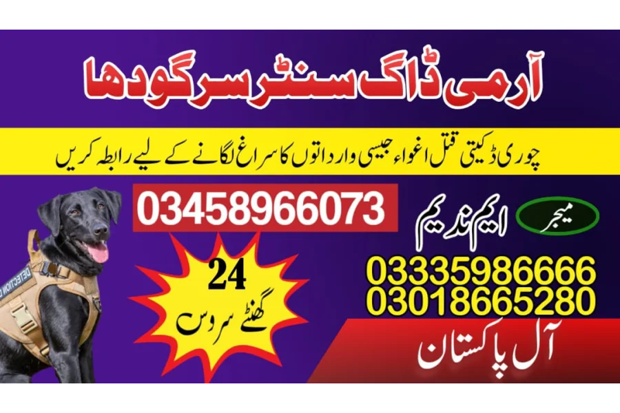 Army Dog Center Sargodha 03009780927