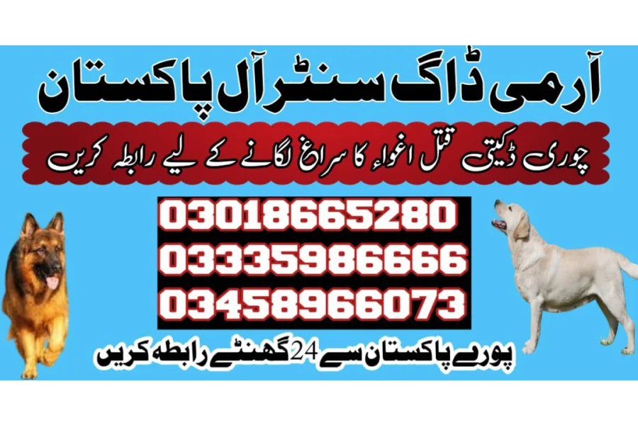 آرمی ڈاگ سینٹر سندھ 03009780927