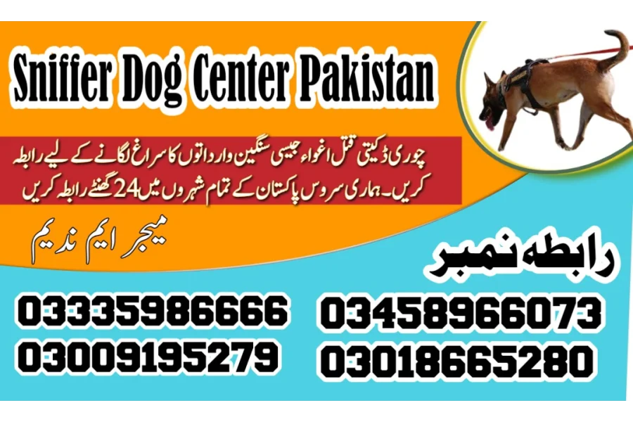 Army dog center swat 03458966073 (کھوجی کتے)
