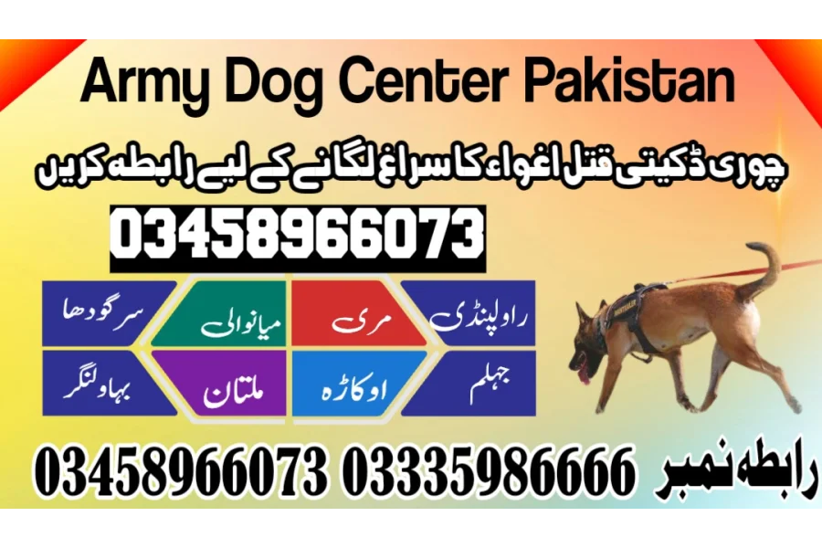 Army Dog Center Faisalabad 03458966073 (کھوجی کتے)