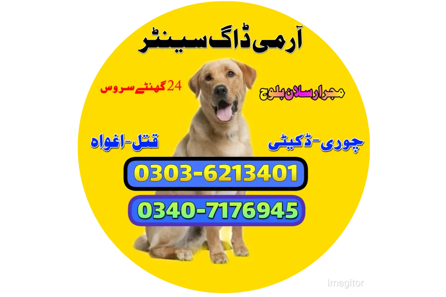 آرمی ڈاگ سینٹر حیدرآباد 03036213401 | کھوجی ڈاگ سنٹر حیدرآباد