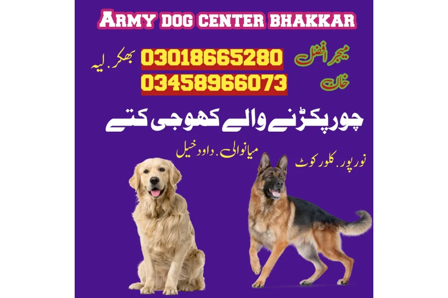 آرمی ڈاگ سنٹر لیہ 03009195279 کھوئی ڈاگ سنٹر لیہ