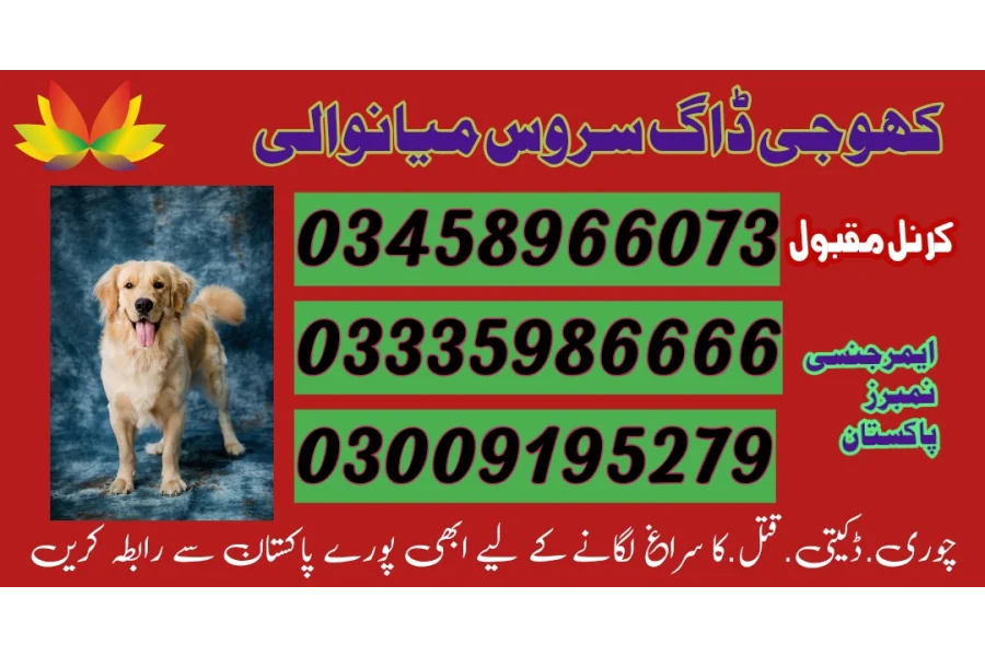 Khoji dog center mianwali 03009195279 Army dog center mianwali