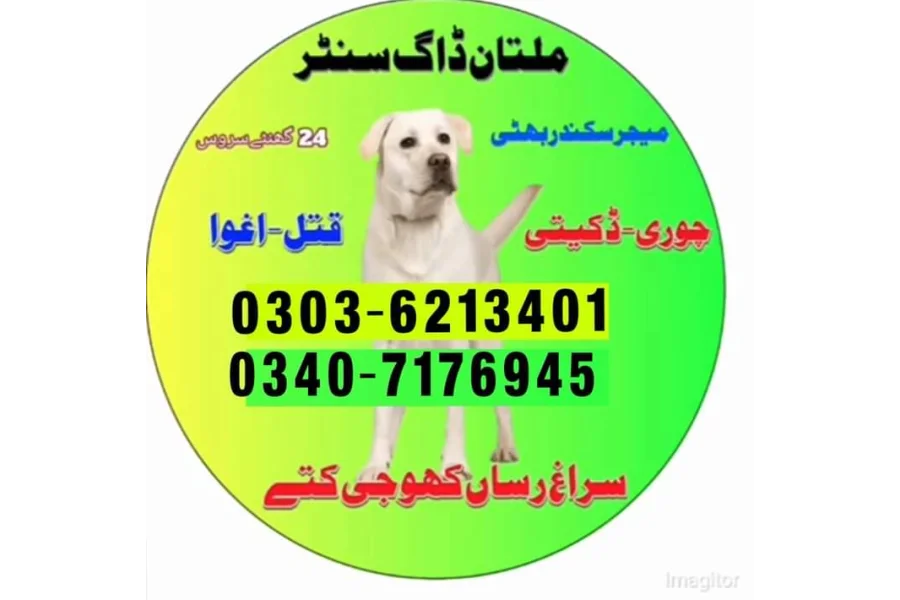 آرمی ڈاگ سنٹر بھیرہ شاہ پور 03036213401 | کتے تلاش کریں اور تلاش کریں کتوں کو تلاش کریں۔