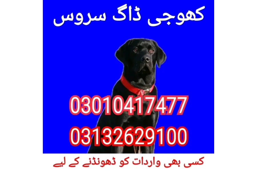 Army dog center chitral 03132629100