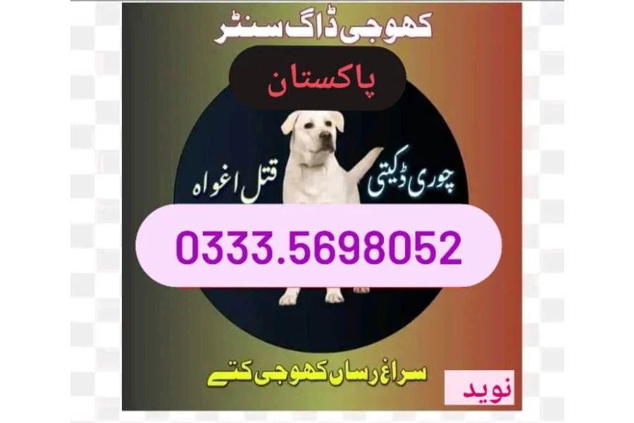 Khoji Dog Center Jhelum 03454760111