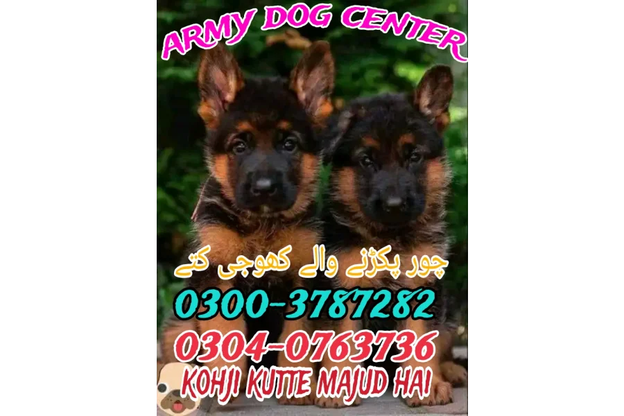 Army Dog Center Bahawalnghar 03404081110
