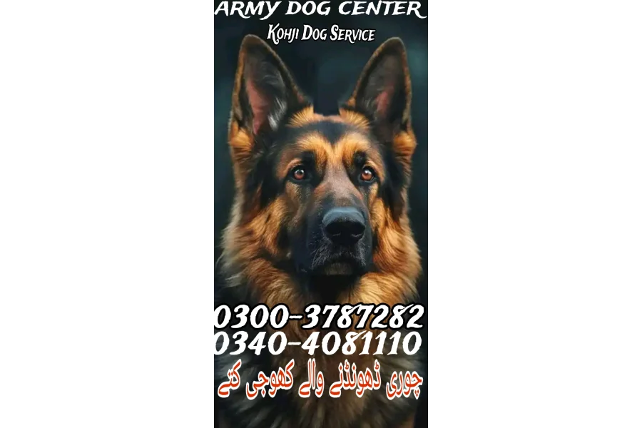 آرمی ڈاگ سنٹر پشاور 0304-0763736