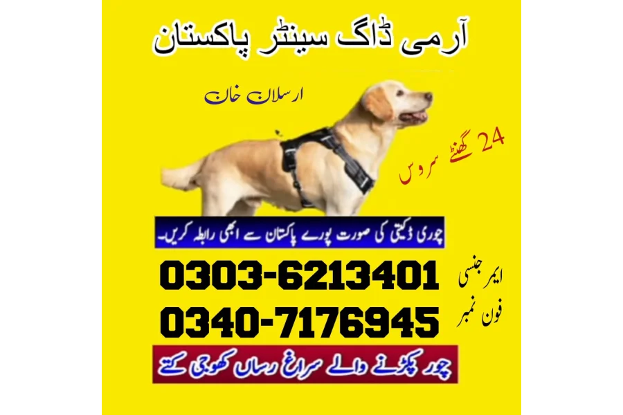 آرمی ڈاگ سنٹر چکوال 03036213401 | چکوال میں کھوجی کتا