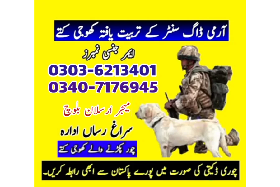 ARMY DOG CENTER LAHORE 03036213401