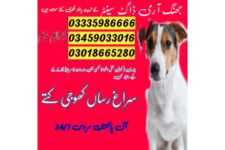 Army Dog Center talagang 03458966073 sniffing dogs available