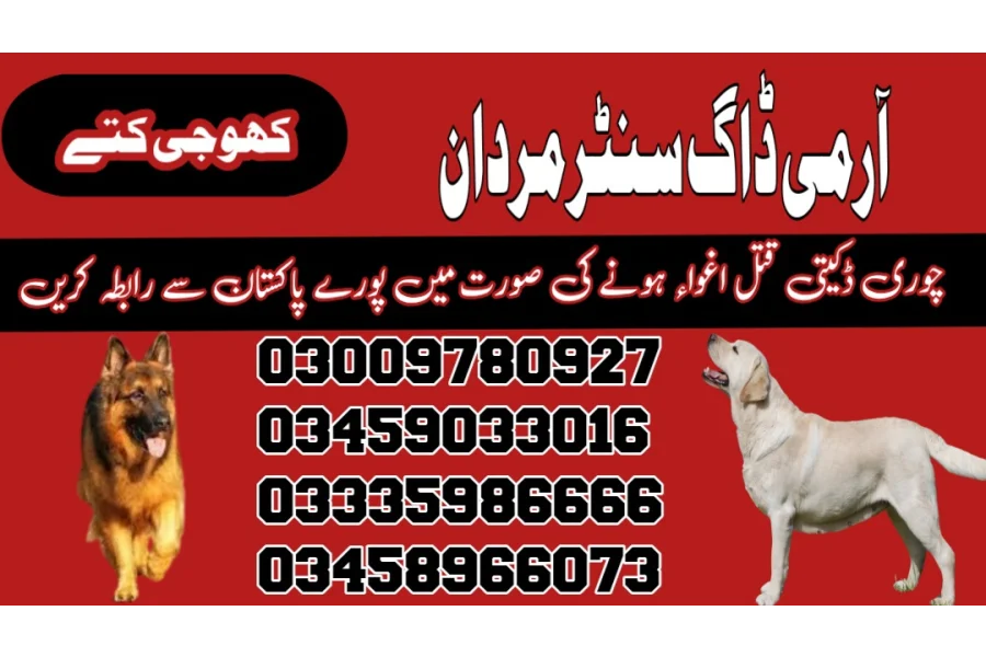 آرمی ڈاگ سنٹر مردان 03018665280 (مردان میں کھوجی کتا)
