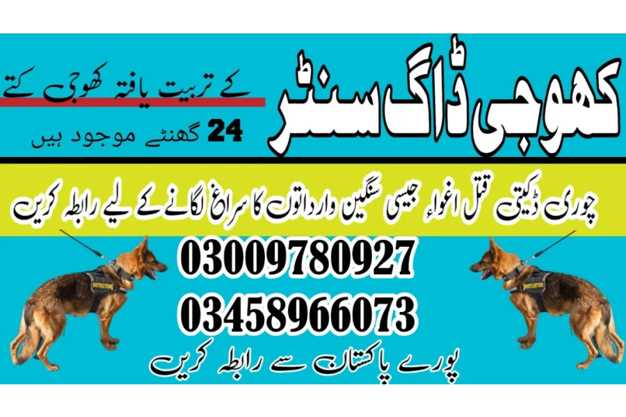 آرمی ڈاگ سنٹر سکھر 03009195279