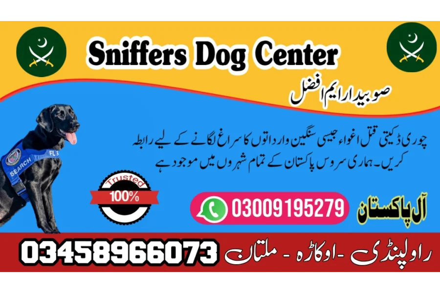 Army Dog Center Mandi Bahauddin 03458966073 (khoji dog in Mandi Bahau)