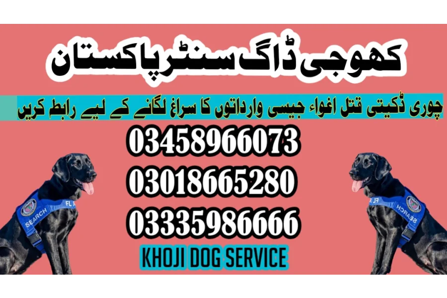 Army dog center Dadu 03335986666 (کھوجی کتے)