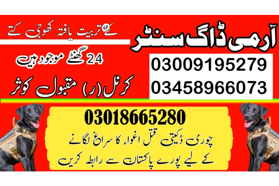 آرمی ڈاگ سنٹر لاڑکانہ 03458966073