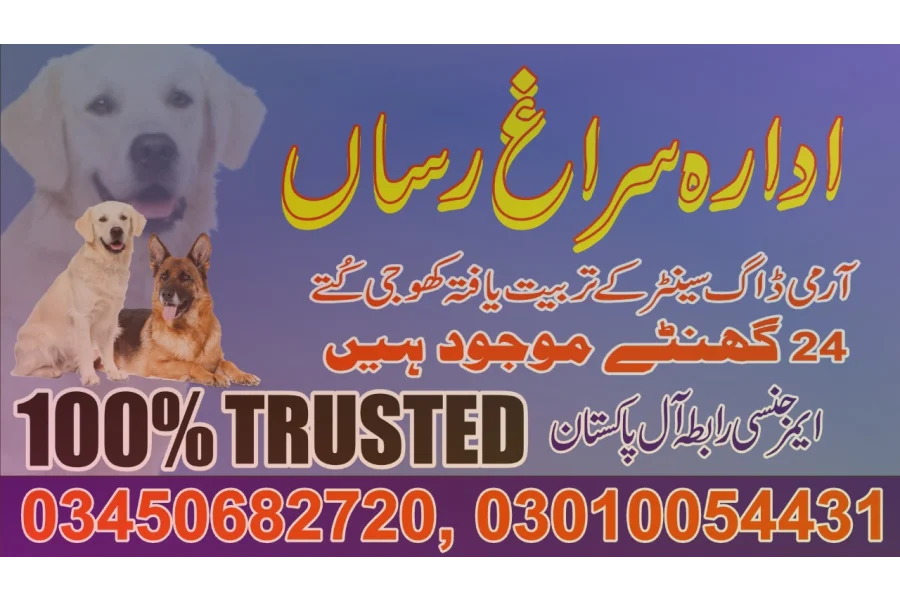 Army dog centre Faisalabad 03450682720