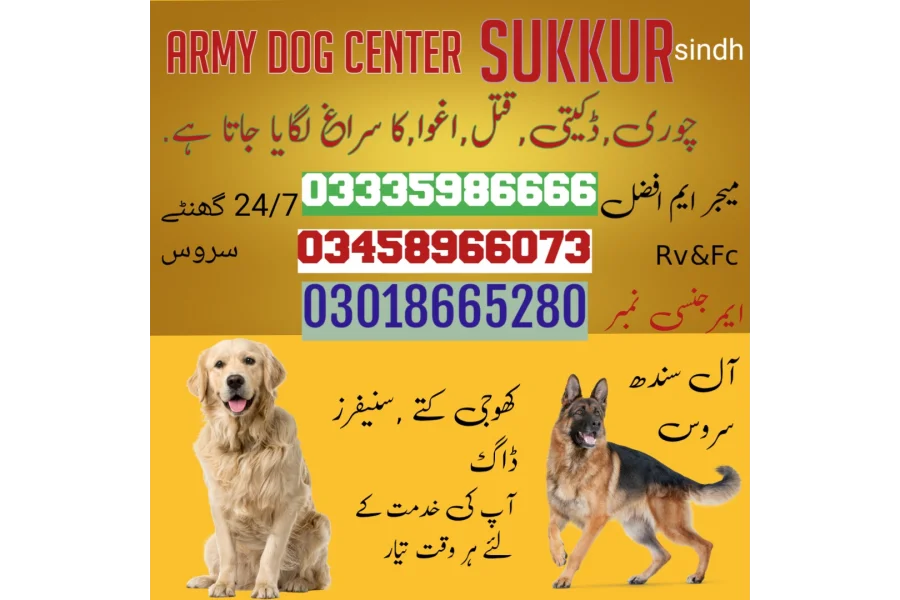 Army dog center sukkur 03005373788 khoji dog