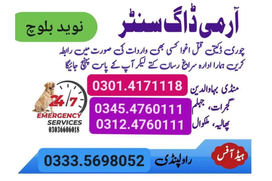 Army Dog Center Peshawar 03454760111
