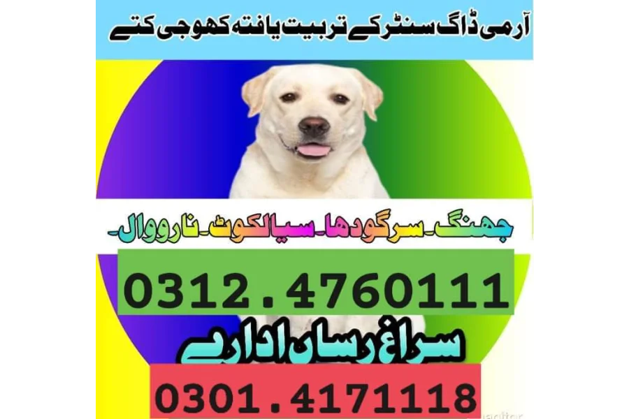 Army Dog Center Multan 03454760111