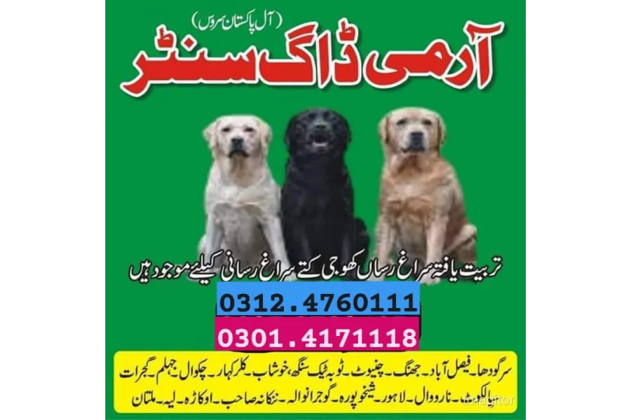 آرمی ڈاگ سنٹر جہلم 03454760111