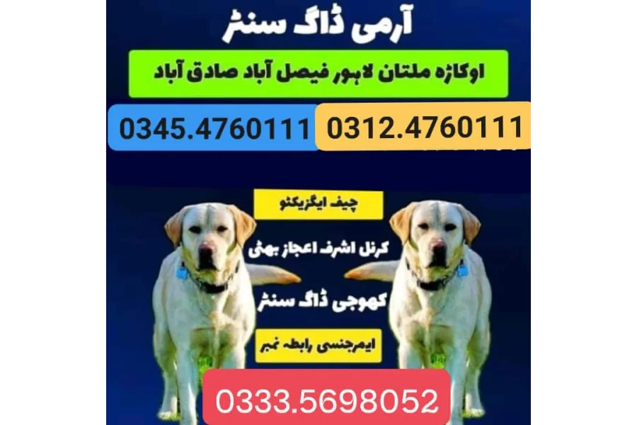 Army Dog Center Murree 03124760111