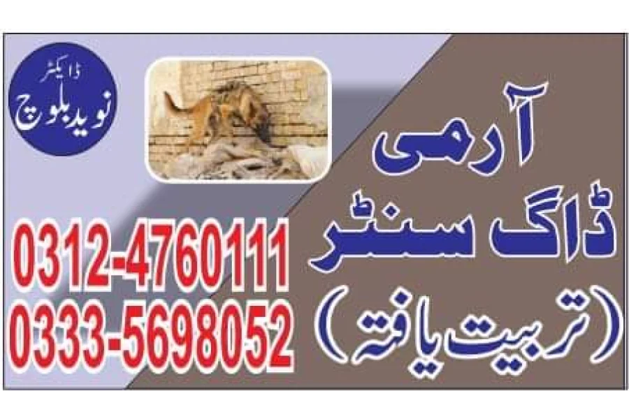 Army Dog Center Attock 03454760111