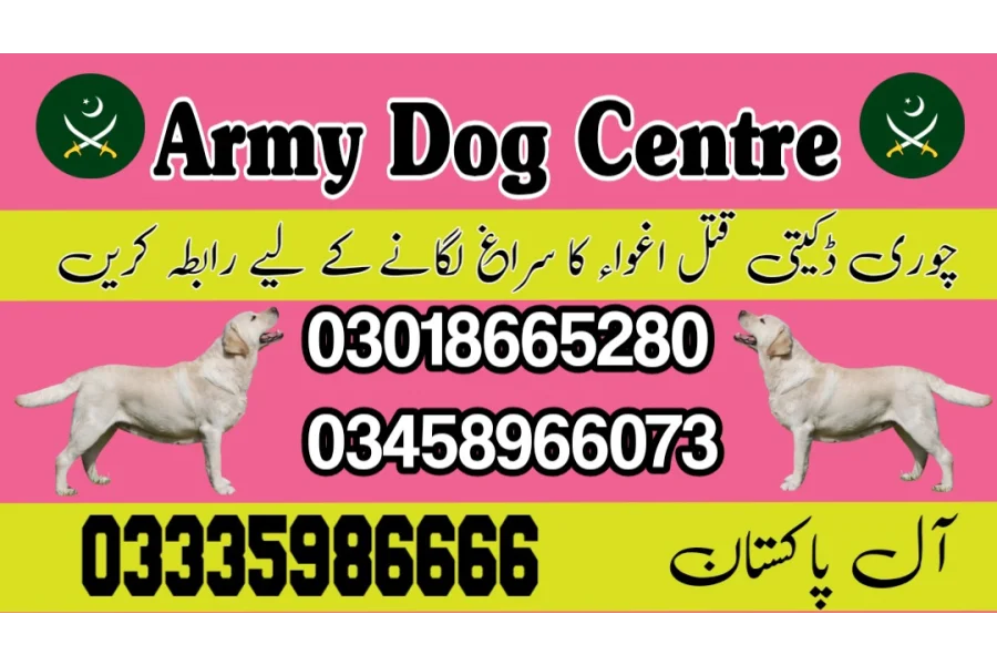 Army Dog Center Mardan 03335986666 (k9 trained dogs in Mardan)