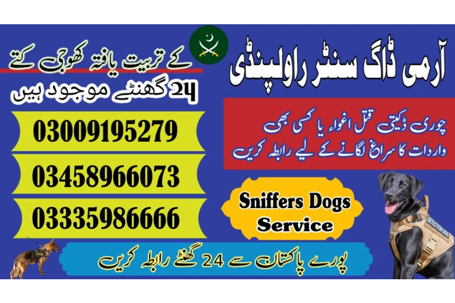 آرمی ڈاگ سنٹر حویلیاں 03458966073 (حویلیاں میں کھوجی کتا)