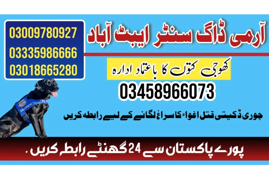 Army Dog Center Abbottabad 03009195279 (Khoji dog in abbottabad)
