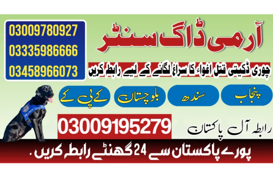 Army Dog Center Battagram 03458966073 (khoji dogs in Batagram)