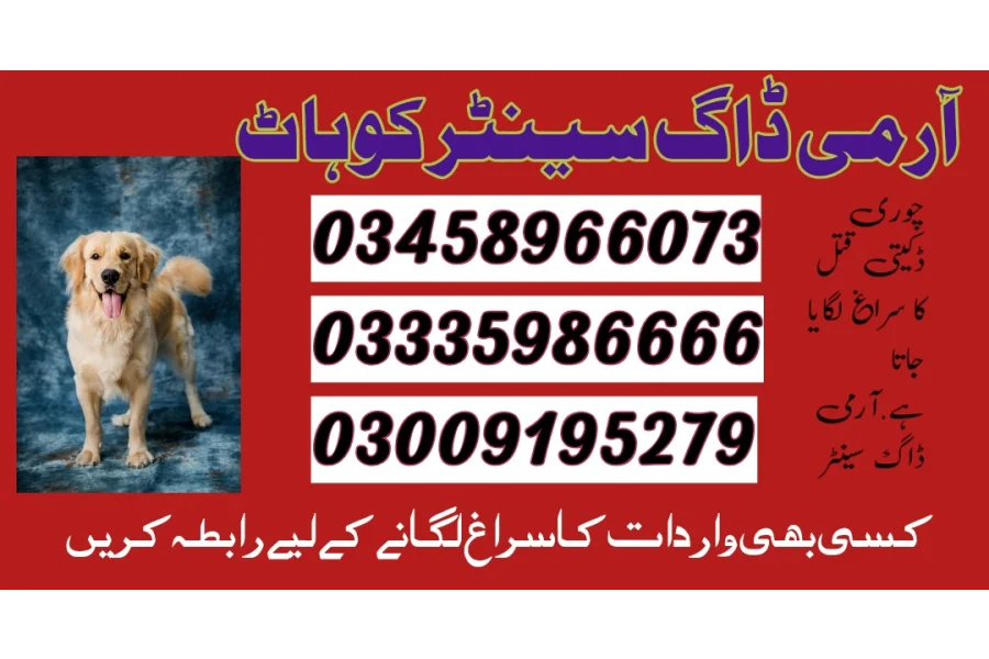 آرمی ڈاگ سنٹر بنوں 03009195279 کھوجی ڈاگ سنٹر بنوں