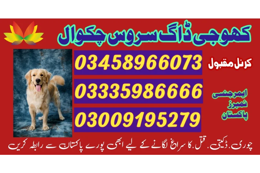 آرمی ڈاگ سنٹر چکوال 03018665280 کھوجی ڈاگ سنٹر چکوال